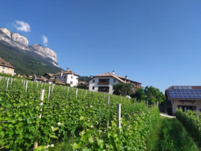 Weingut Lahn zu Eppan Appiano Sulla Strada Del Vino